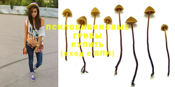 марки nbome Алексеевка