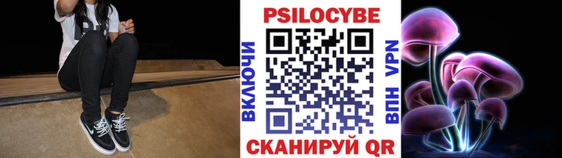 Галлюциногенные грибы Psilocybe  Биробиджан 